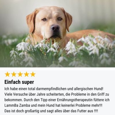 Thumbnail 10: Tales & Tails LammBa Zamba! Softtrockenfutter - 8 kg (2x4kg)