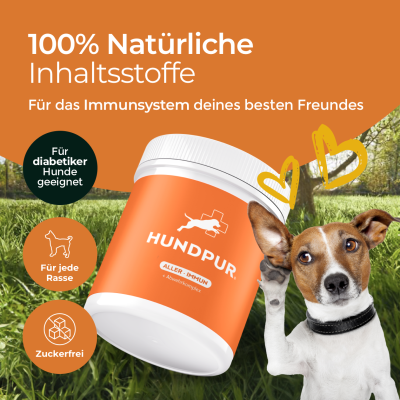 Thumbnail 1: Hundpur Aller-Immun mit Abwehr-Komplex 300 g – Multivitamin-Pellets mit Mangostan, Propolis & Kurkuma zur natürlichen Immununterstützung