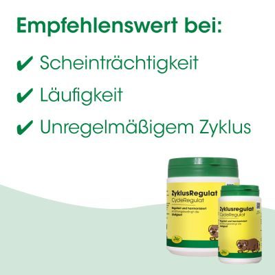 Thumbnail 8: cdVet ZyklusRegulat 120 g – Unterstützung für Hündinnen im hormonellen Ungleichgewicht