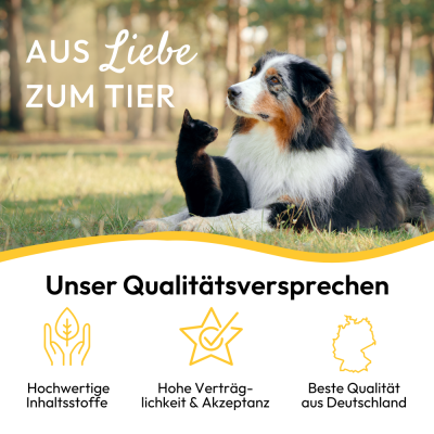 Thumbnail 7: PHA PetVet - PHA Haut- & FellVital für Hunde u. Katzen 250 ml - Flüssiges Ergänzungsfuttermittel - gepflegte Haut und glänzendes Fell durch essenzielle Fettsäuren