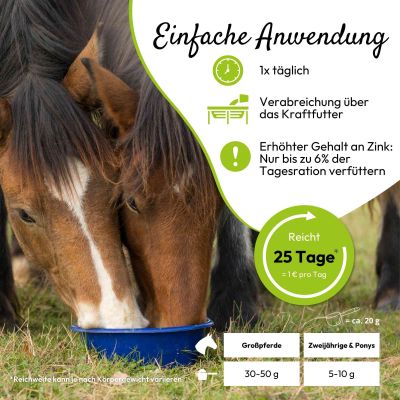 Thumbnail 3: PHA PHA Huf- & FellVital für Pferde