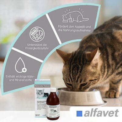Thumbnail 4: alfavet ReConvales Tonicum Katze 280 ml