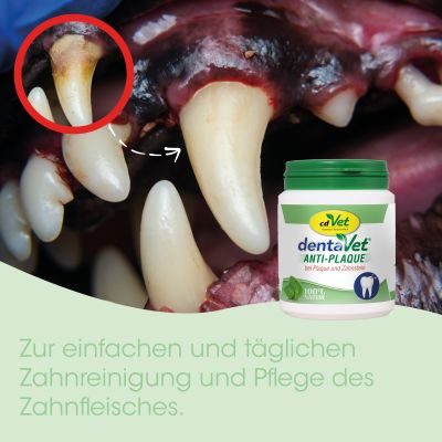 Thumbnail 2: dentaVet Anti-Plaque 150 g – Natürliche Zahnpflege für Hunde & Katzen mit Ascophyllum nodosum