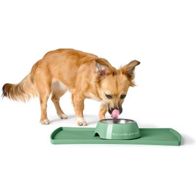 Thumbnail 5: HUNTER Melamin-Napf Kington 350 ml, grün