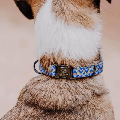 Thumbnail 4: Hey Lana Hundehalsband Kunterbunt Gepolstert Mocca / Blau / L-XL/40-62