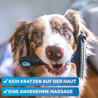 Thumbnail 3: BluePet Fellentwirrer Striegel für Langhaar Hunde & Katzen, zwei Reihen feste Pins - Entfilzungskamm, Unterwollrechen: glättet & entwirrt langes Fell & Knoten
