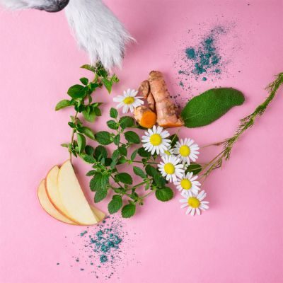 Thumbnail 2: Tierliebhaber Zahnfee Sticks für Hunde - Kausticks für eine natürliche Zahnpflege & frischen Atem