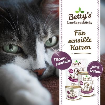 Thumbnail 4: Betty's Landhausküche Katzennassfutter Känguru PUR mit Borretschöl 12x 200g