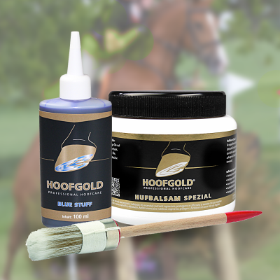 Thumbnail 2: Hoofgold Set Hufbalsam Spezial & BlueStuff – Strahlfäule Pferd 500 ml Balsam & 100 ml BlueStuff