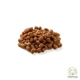 kauartikel.com Weiche Happen mit Lachs - Hunde-Snack - Trainings-Snack - Fisch-Leckerli