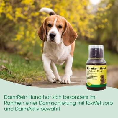 Thumbnail 2: cdVet DarmRein Hund 100 ml – Natürliche Unterstützung für die Darmhygiene bei Hunden
