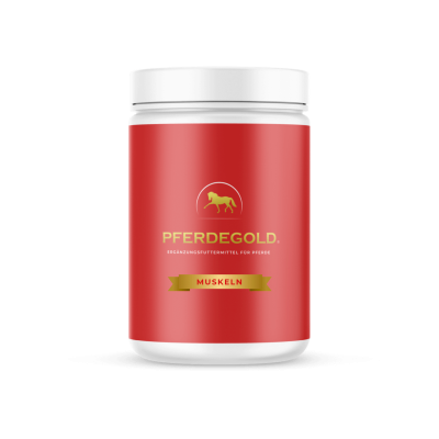 Pferdegold Muskel Zylinder 750g