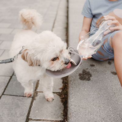 Thumbnail 3: KESSI Outdoor Trinkflasche mit Silikonnapf KESSI 550 ml, grau