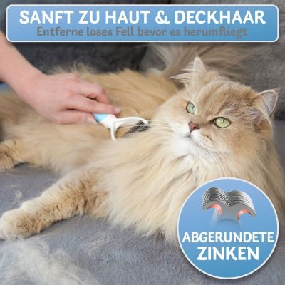 Thumbnail 3: BluePet Blau