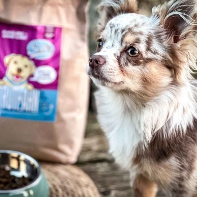 Thumbnail 7: Sollis Welpenfutter mit Truthahn, Trockenfutter für kleine Hunde, 2 kg