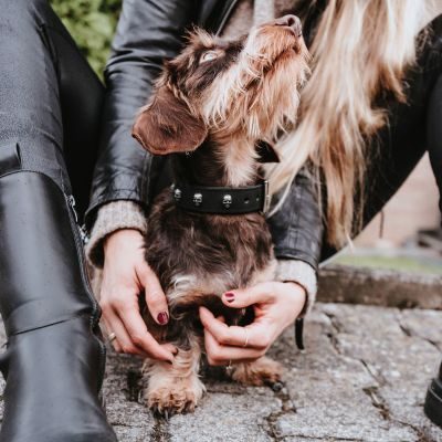 Thumbnail 9: HUNTER Halsband Tijuana XS-S (35), schwarz