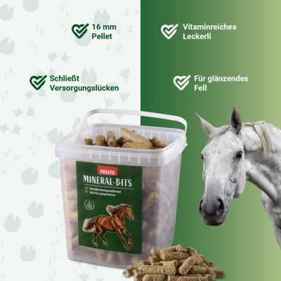 Thumbnail 4: PANTO PANTO Mineral Bits 16mm