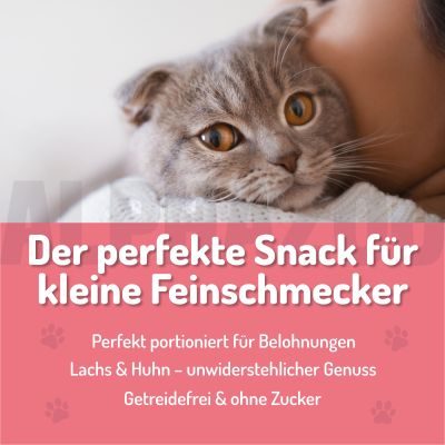 Thumbnail 2: ALPHAZOO Verlachst Nochmal Katzenleckerlis