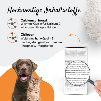 Thumbnail 1: PHA PetVet - PHA NierenActiv PLUS für Hunde und Katzen 60 g - Unterstützung der Nierenfunktion, Nierengesundheit - Futterergänzung