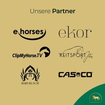 Thumbnail 3: Pferdegold Elektrolyte Eimer 1.5kg