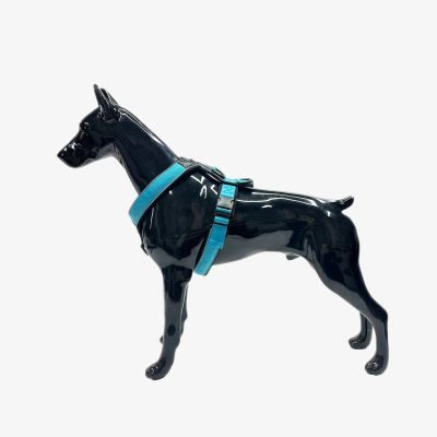 Thumbnail 6: Vitomalia VitomaliaLeichtes Y-Hundegeschirr mit Reflextionsstreifen in Türkis