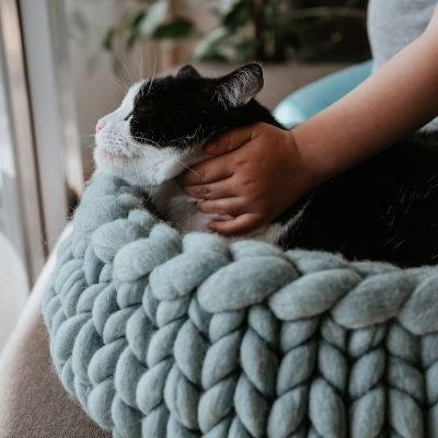 Thumbnail 2: stylecats® Katzenbett Boogie Color S (40 x 40 cm), mint