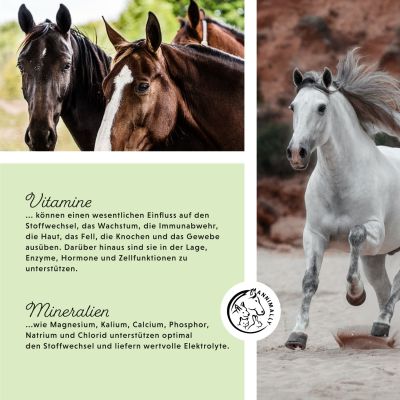 Thumbnail 5: annimally Mineralfutter Sport & Leistung