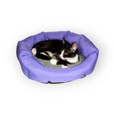 INT4BELUA Bett SOFTY Gr. S