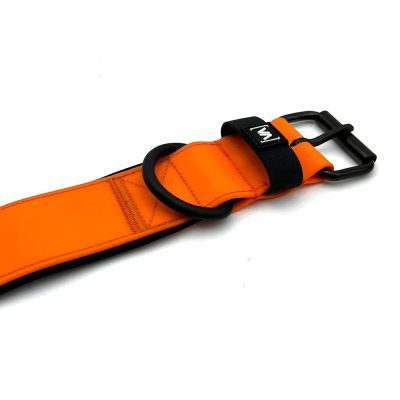 Thumbnail 5: Vitomalia Wasserhalsband mit abstehender Innenfütterung Orange L / 5cm