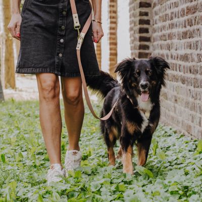 Thumbnail 2: Hey Lana Führleine Outdoor FLEX - 3-fach verstellbar Mocca / Mousse / 15/230