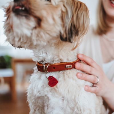 Thumbnail 9: HUNTER Halsband Aalborg Hearts XS (32), cognac