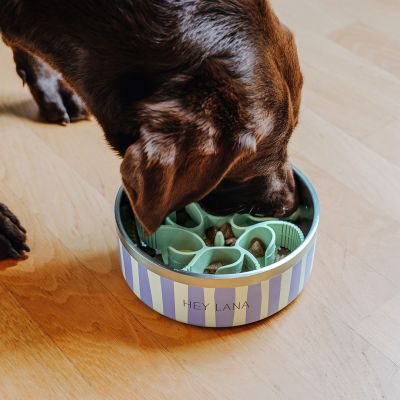 Thumbnail 4: Hey Lana Gourmet Bremse - Anti-Schling Einsatz für Fressnapf