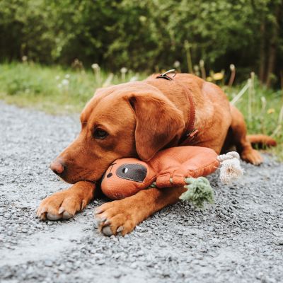 Thumbnail 4: HUNTER Hundespielzeug Rio Faultier mit Tau 30 cm