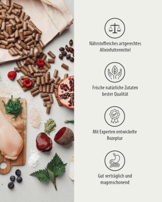 Thumbnail 7: GREEN PAWLY Complete HUHN plus 10 Superfoods