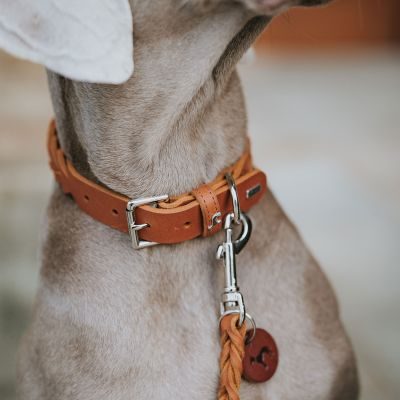 Thumbnail 9: HUNTER Halsband Solid Education Special S (45), cognac