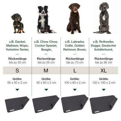 Thumbnail 5: HOUND&NATURE Wasserdichte Baumwoll-Hundedecke für Inkontinenz, Welpen, Sofaschutz, Autoschutz