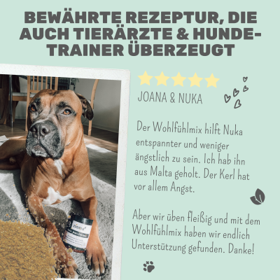 Thumbnail 3: Noms+ Wohlfühlmix für Hunde & Katzen bei Stress, Angst, Unruhe und Hyperaktivität
