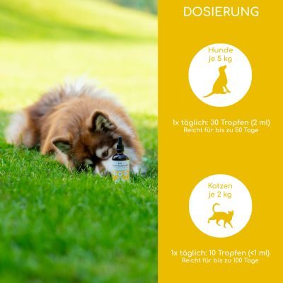 Thumbnail 4: Wolfsbacher Natur Bio Nachtkerzenöl 100 ml