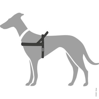 Thumbnail 3: HUNTER Norwegergeschirr Hunting L/1, schwarz