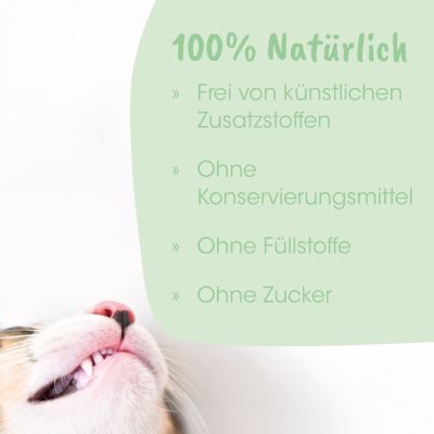 Thumbnail 4: dentaVet Anti-Plaque 150 g – Natürliche Zahnpflege für Hunde & Katzen mit Ascophyllum nodosum