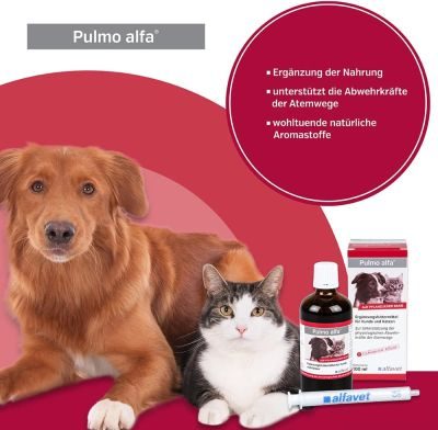 Thumbnail 1: alfavet Pulmo alfa 100 ml