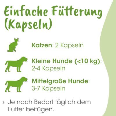 Thumbnail 8: cdVet ArthroGreen Classic 25 g - Natürliches Ergänzungsfuttermittel für Katzen und Hunde