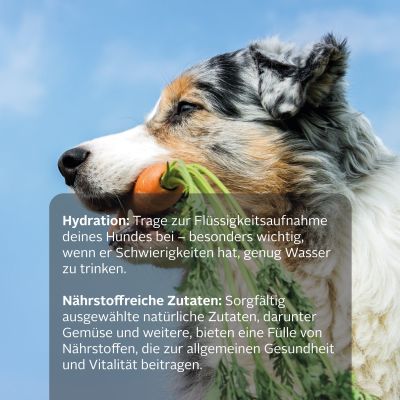 Thumbnail 7: TJURE TJURE - Moro´sche Möhrensuppe - 6er Pack | bei Magen Darm Problemen | Durchfall |