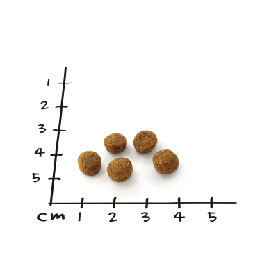 Thumbnail 1: NutriQM Adult Trockenfutter mit ITW-Siegel | für ausgewachsene Katzen | Nutriness Lachs 5 x 800g | ohne Zucker, Gluten & künstliche Zusätze