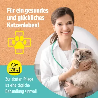 Thumbnail 6: Greenhero Ohrenwunder pflegt das Ohr bei Ohrenmilben