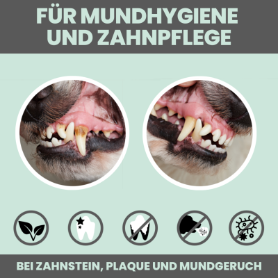 Thumbnail 5: Noms+ Dentalmix für Hunde zur Zahnpflege und für frischen Atem