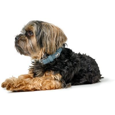 Thumbnail 6: HUNTER Halsband Soho Mini XXS-XS (27), hellblau