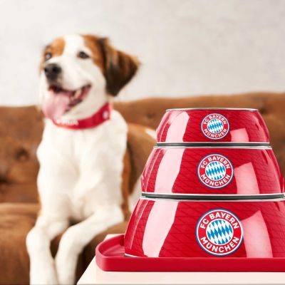 Thumbnail 6: HUNTER Melamin-Napf FC Bayern München 700 ml, rot
