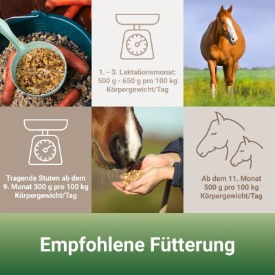 Thumbnail 6: PANTO Zucht- und Fohlenmüsli 20kg