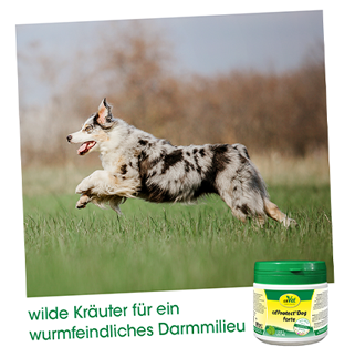 Thumbnail 3: cdVet cdProtect Dog forte 150 g